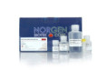 36200 Fatty Tissue RNA Purification Kit ( 25 rxn )
